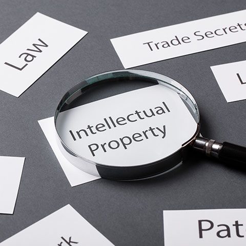 Intellectual Property (IP) Law