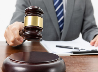 Litigation Services